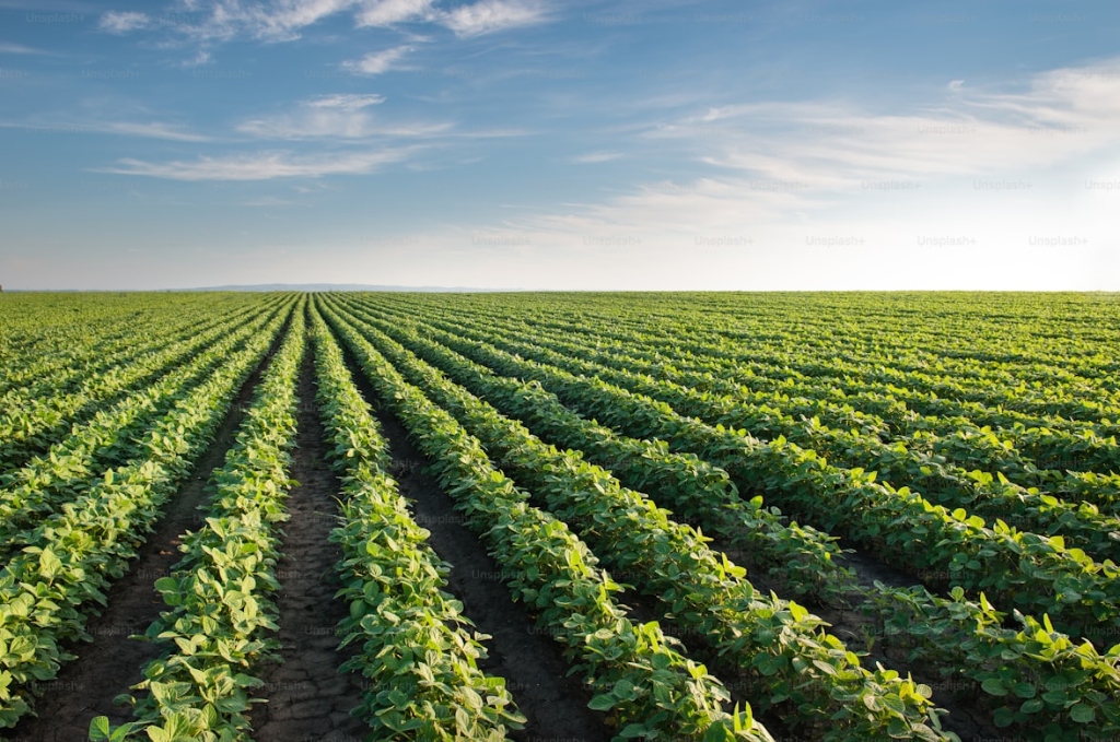Farm and agricultural land